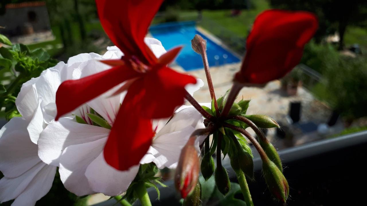 Pension Am Weinberg Bed & Breakfast Mainstockheim Luaran gambar
