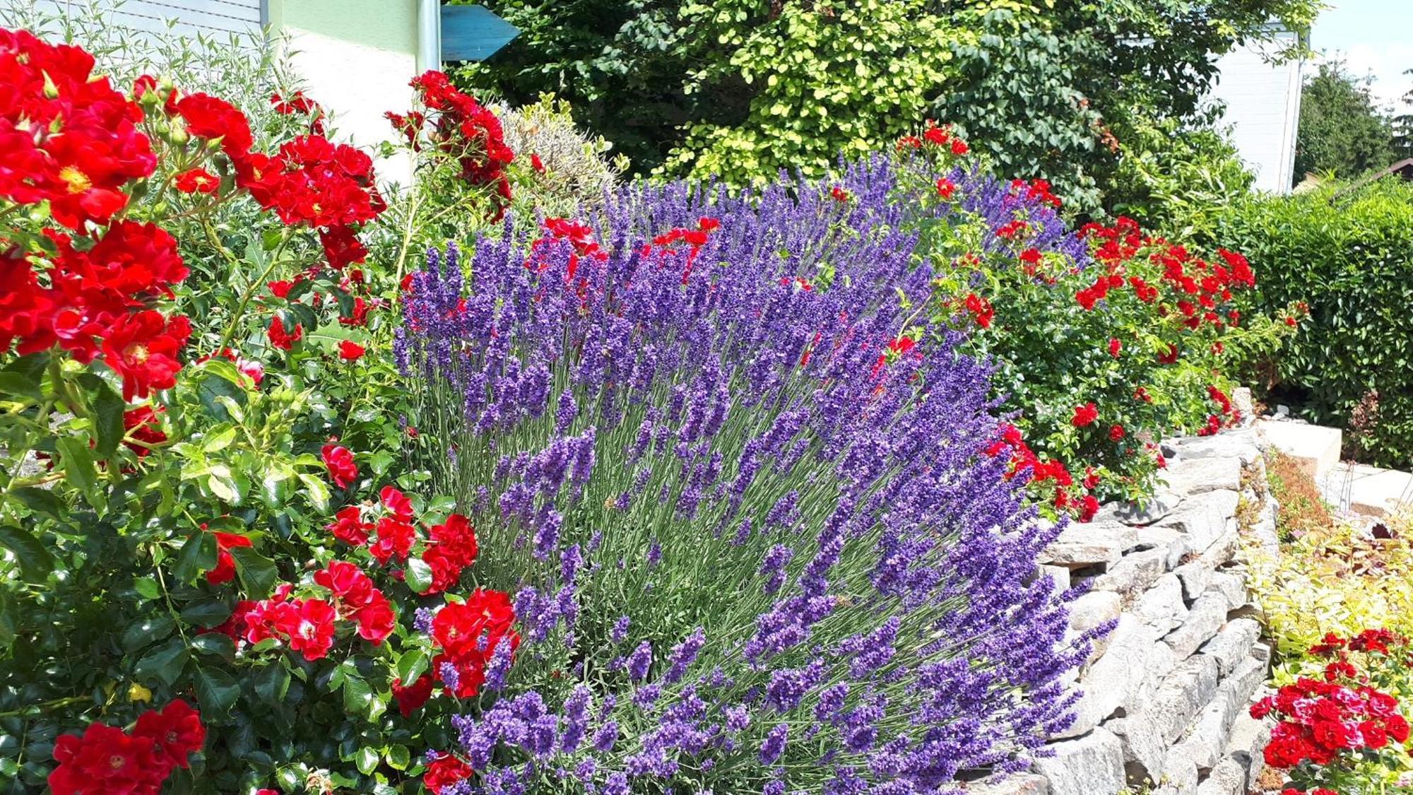 Pension Am Weinberg Bed & Breakfast Mainstockheim Luaran gambar