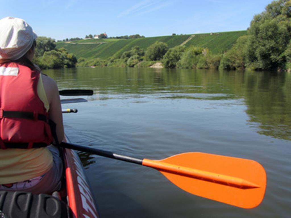 Pension Am Weinberg Bed & Breakfast Mainstockheim Luaran gambar