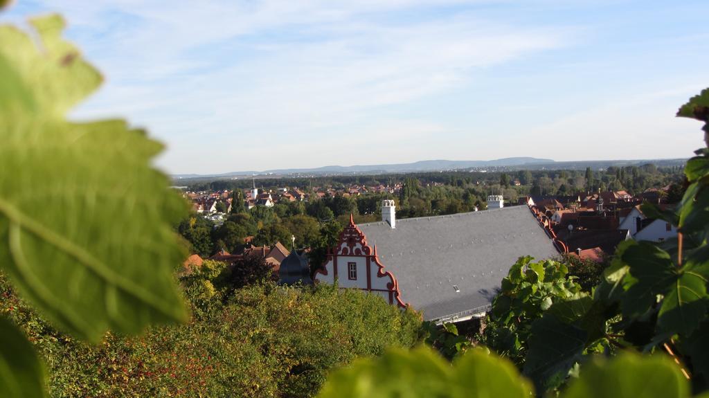Pension Am Weinberg Bed & Breakfast Mainstockheim Luaran gambar