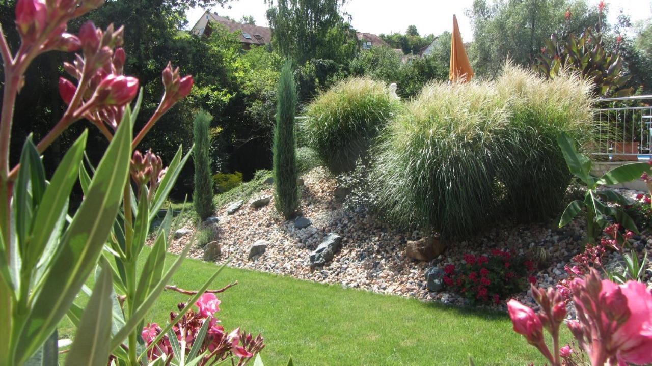Pension Am Weinberg Bed & Breakfast Mainstockheim Luaran gambar